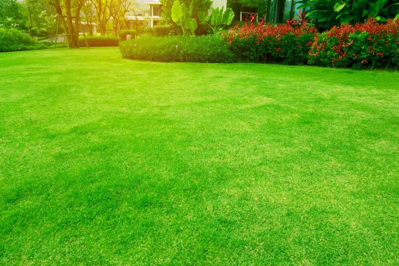 Healthy Lawn for Spring
