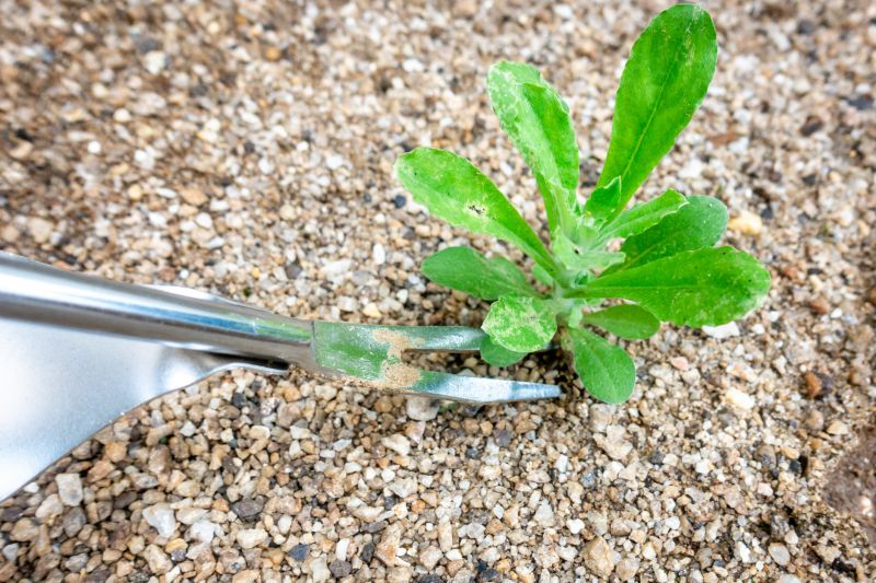 Accessibility & Comfort